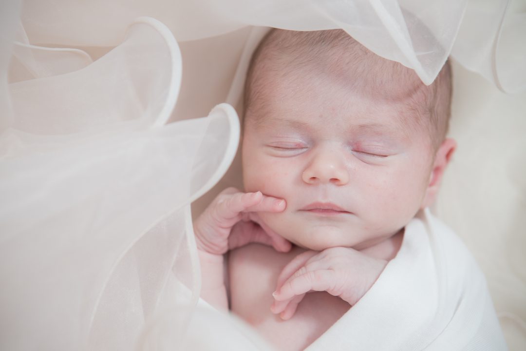 newborn portraits