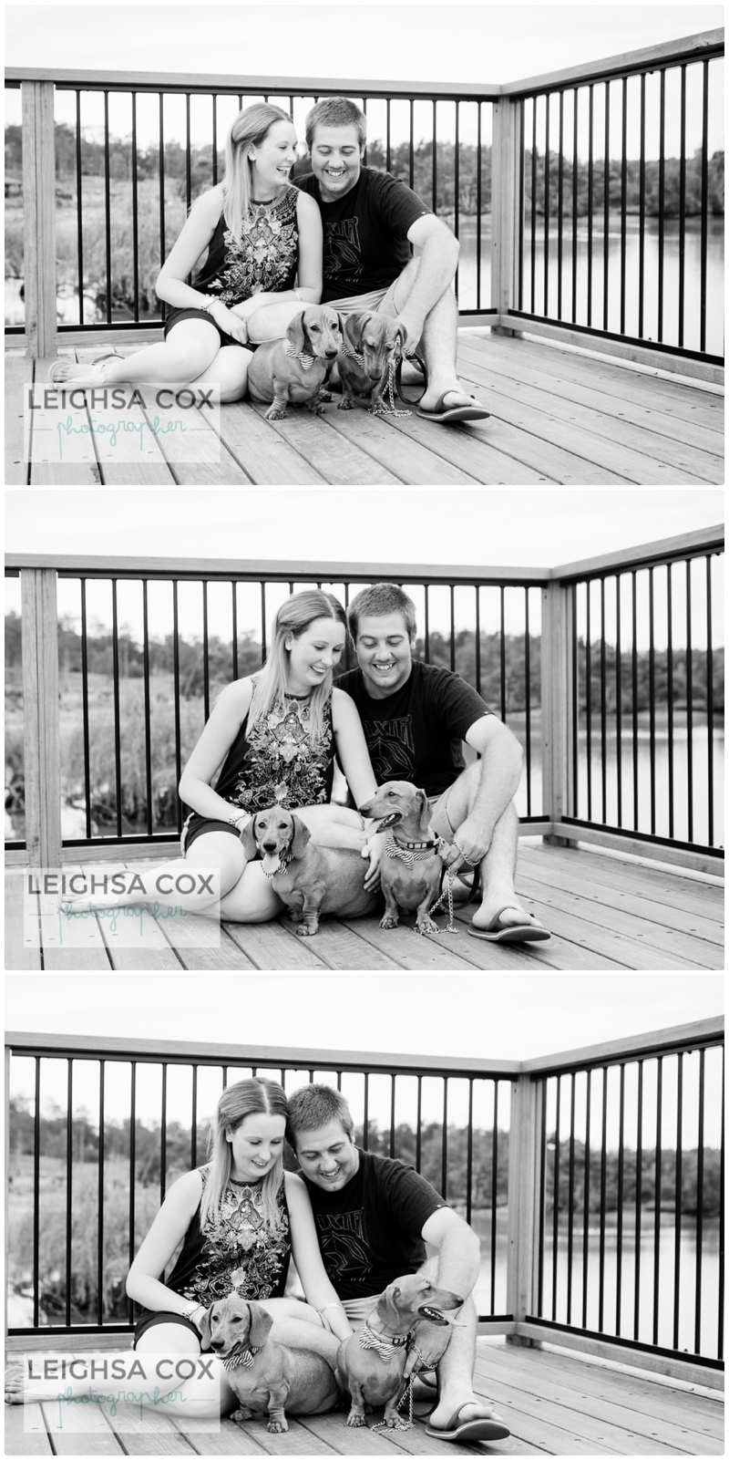 Couple Portraits -True love and Dachshunds