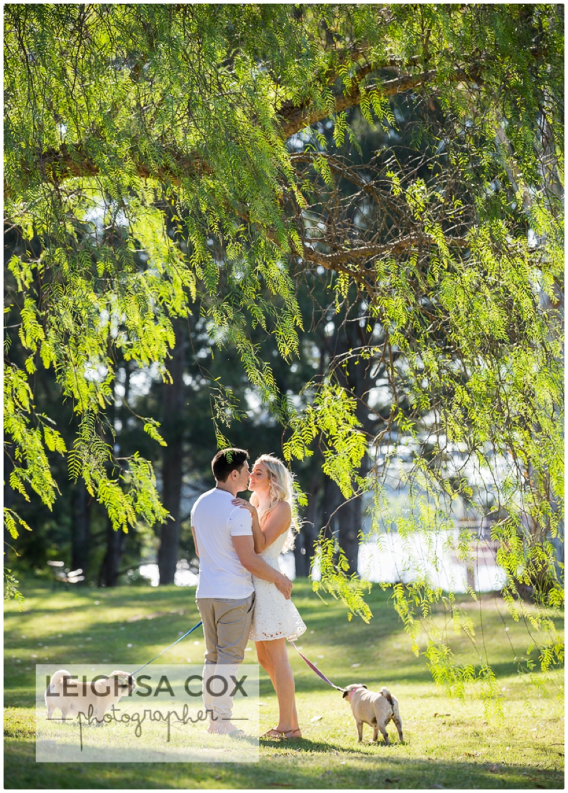 Morpeth Pug Love Couple Session