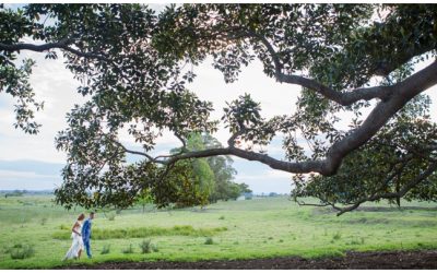 Relaxed Maitland Wedding