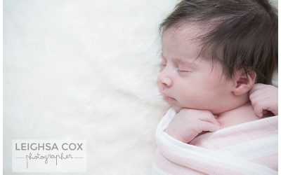 Maitland Newborn Photographer