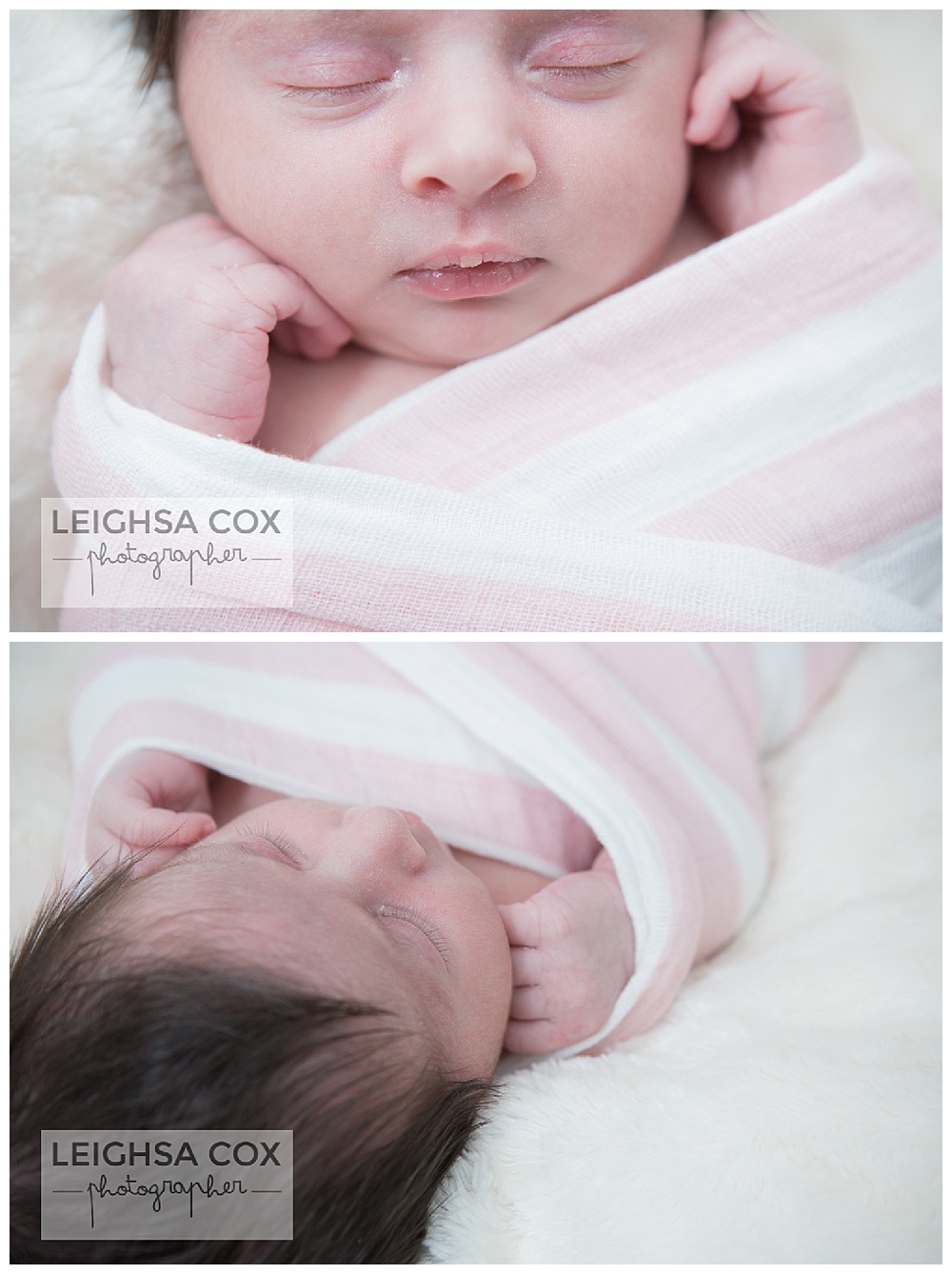 Maitland Newborn Photographer