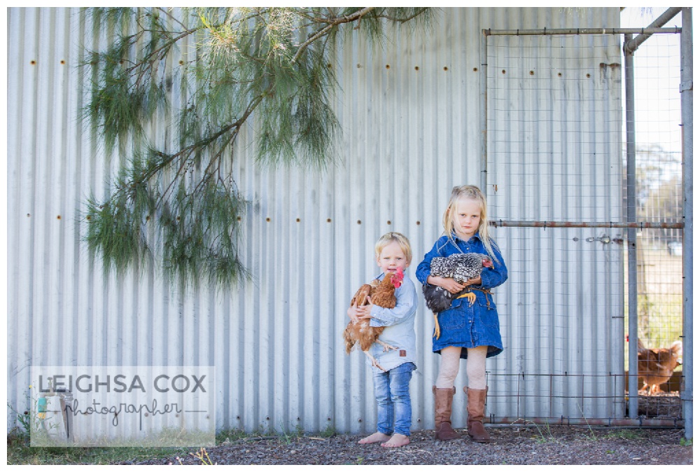 backyard chickens hunter valley