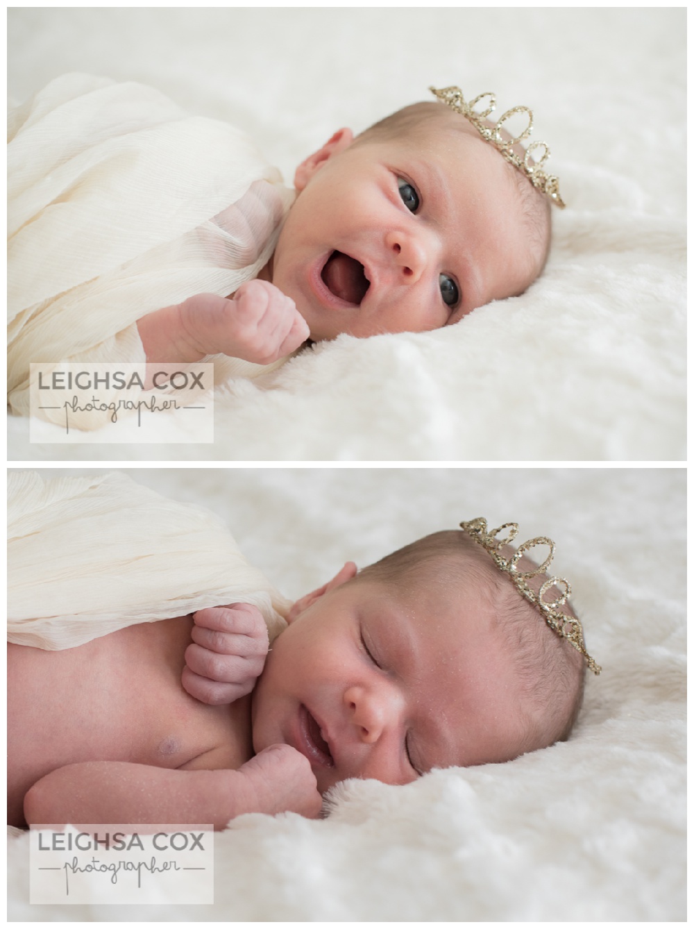 princess Newborn Maitland