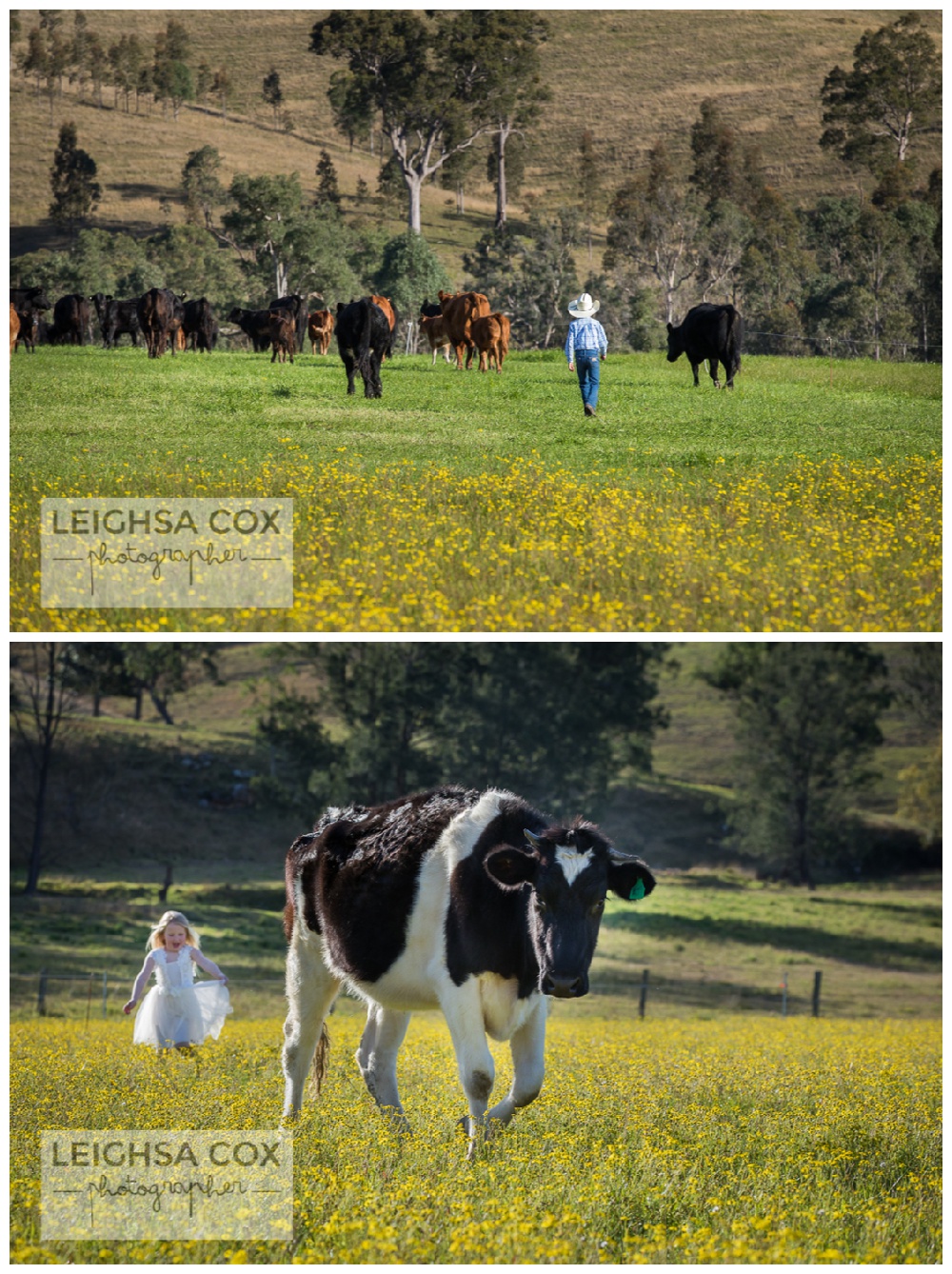 Farm Family Portraits Gresford