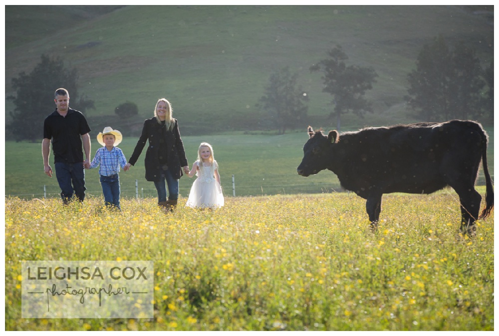 Farm Family Portraits Gresford