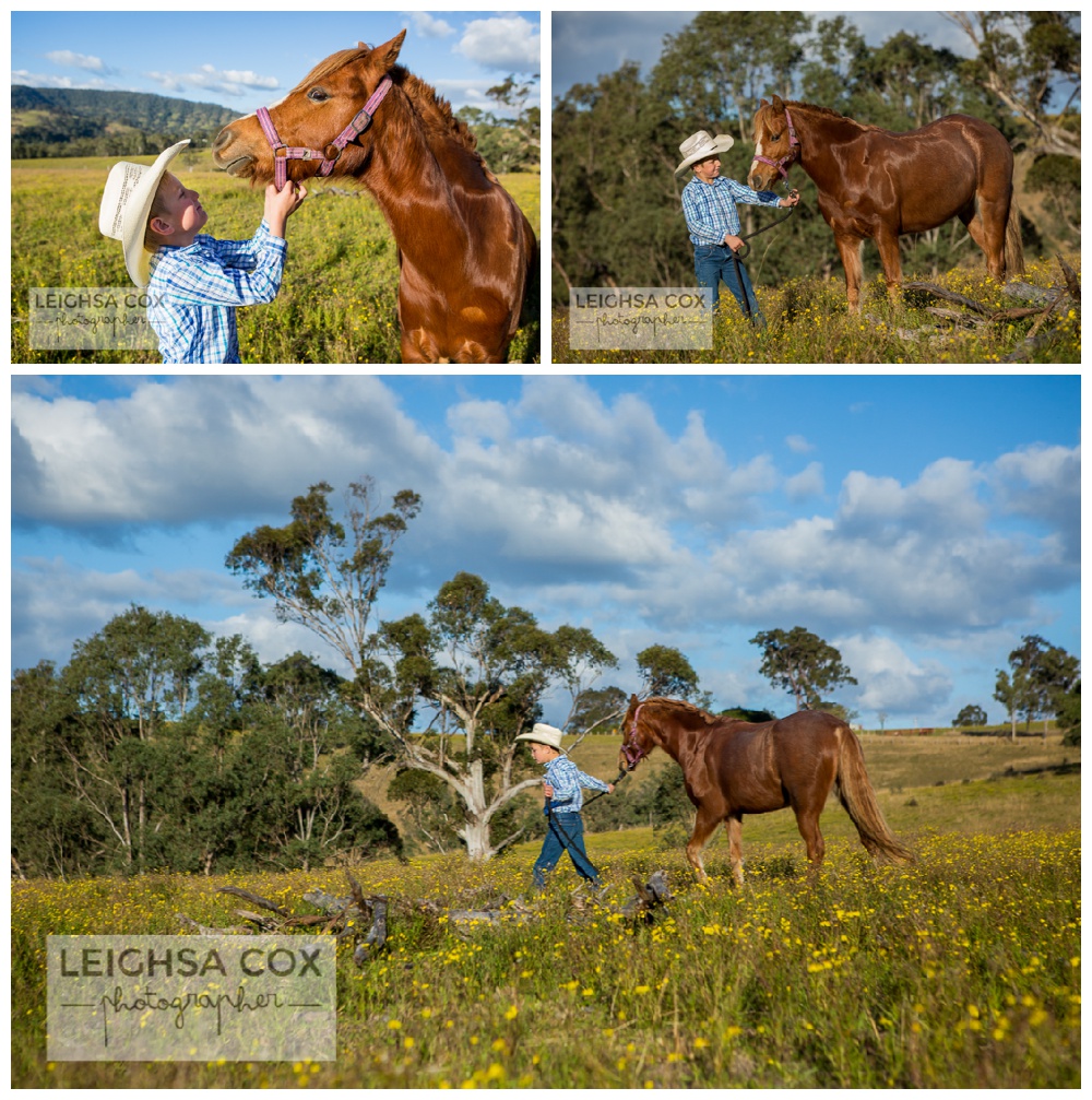 Farm Family Portraits Horses