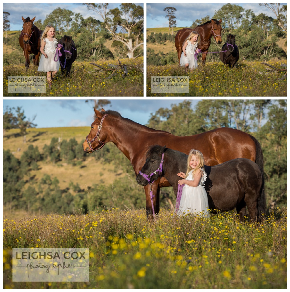 Farm Family Portraits Horses