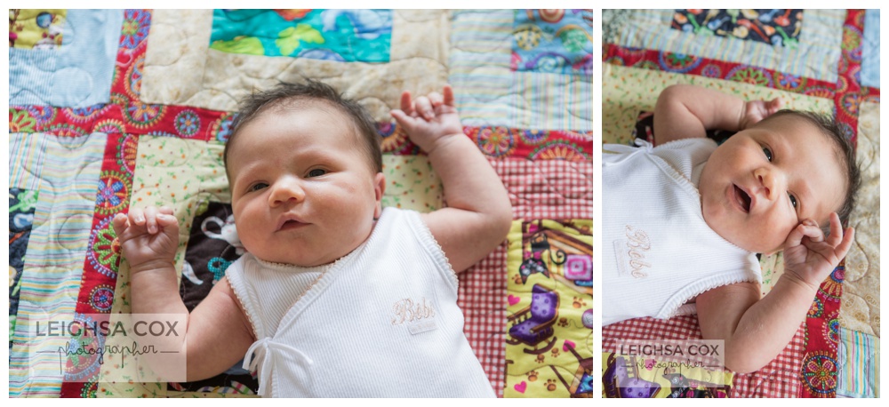 Maitland Newborn Session