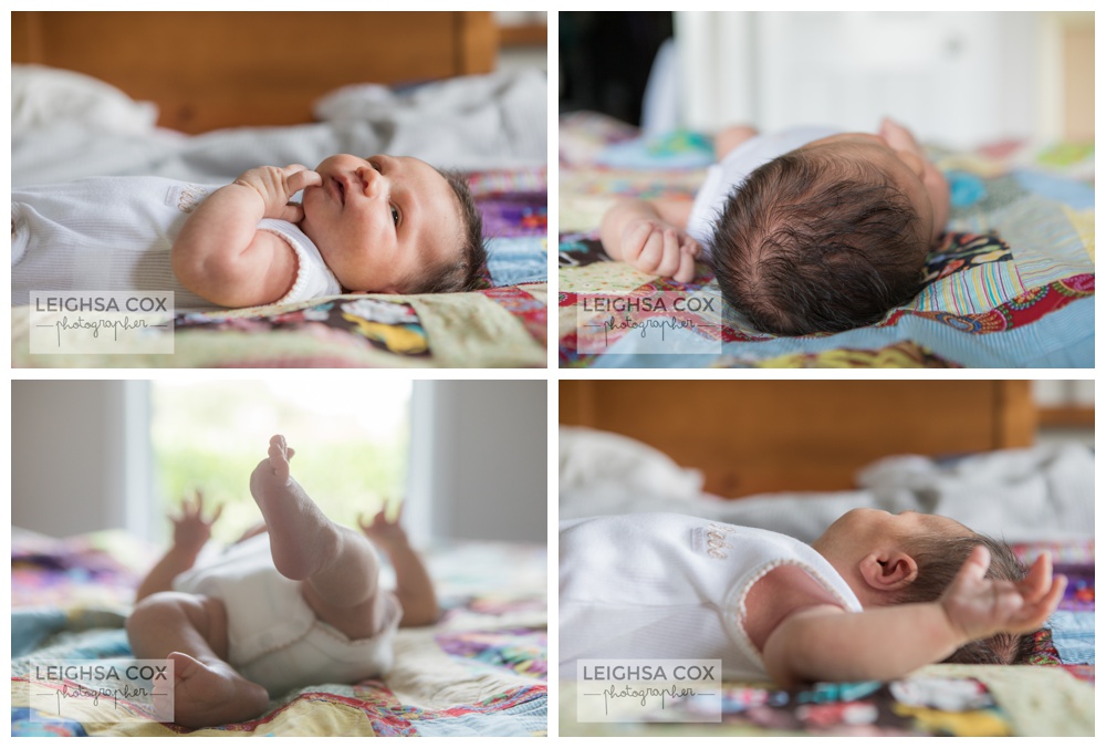 Maitland Newborn Session