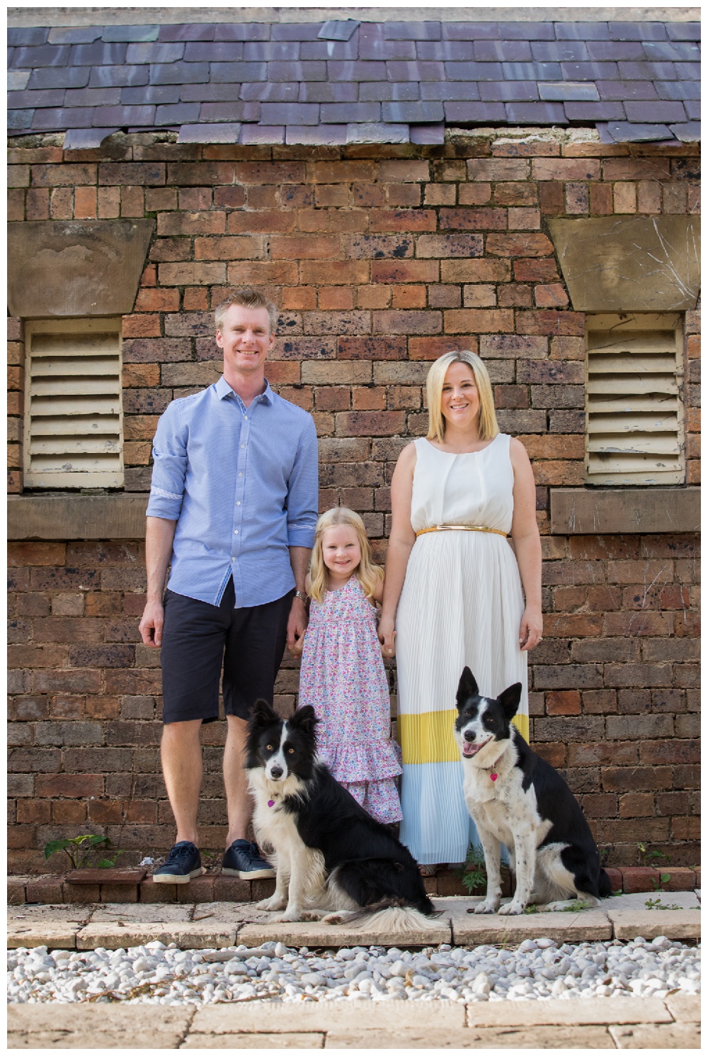 Family plus dogs Maitland