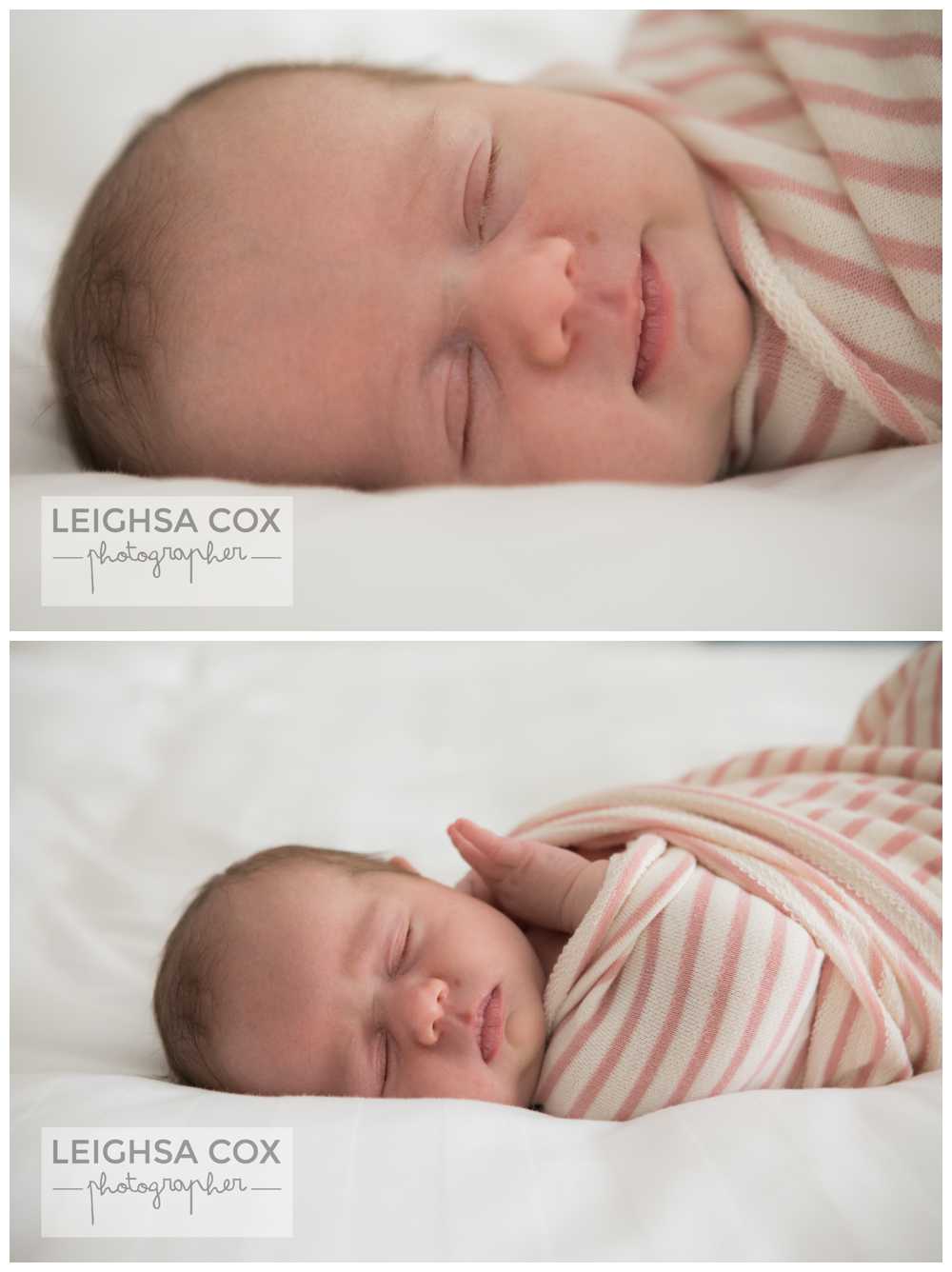 Newborn Photography Maitland