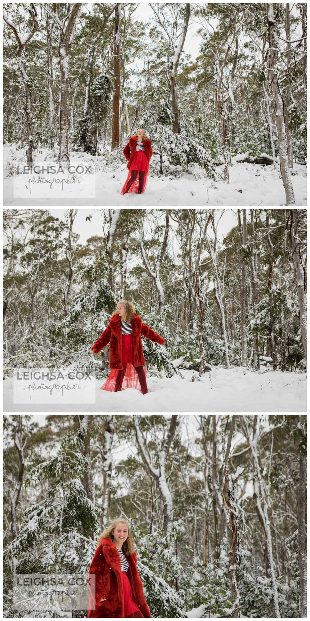 Snow Day Barrington Tops