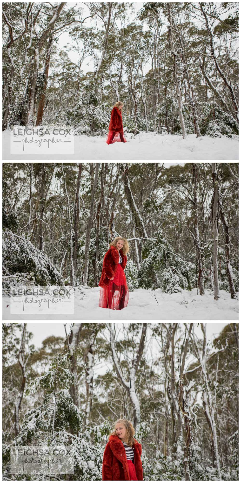 Snow Day Barrington Tops