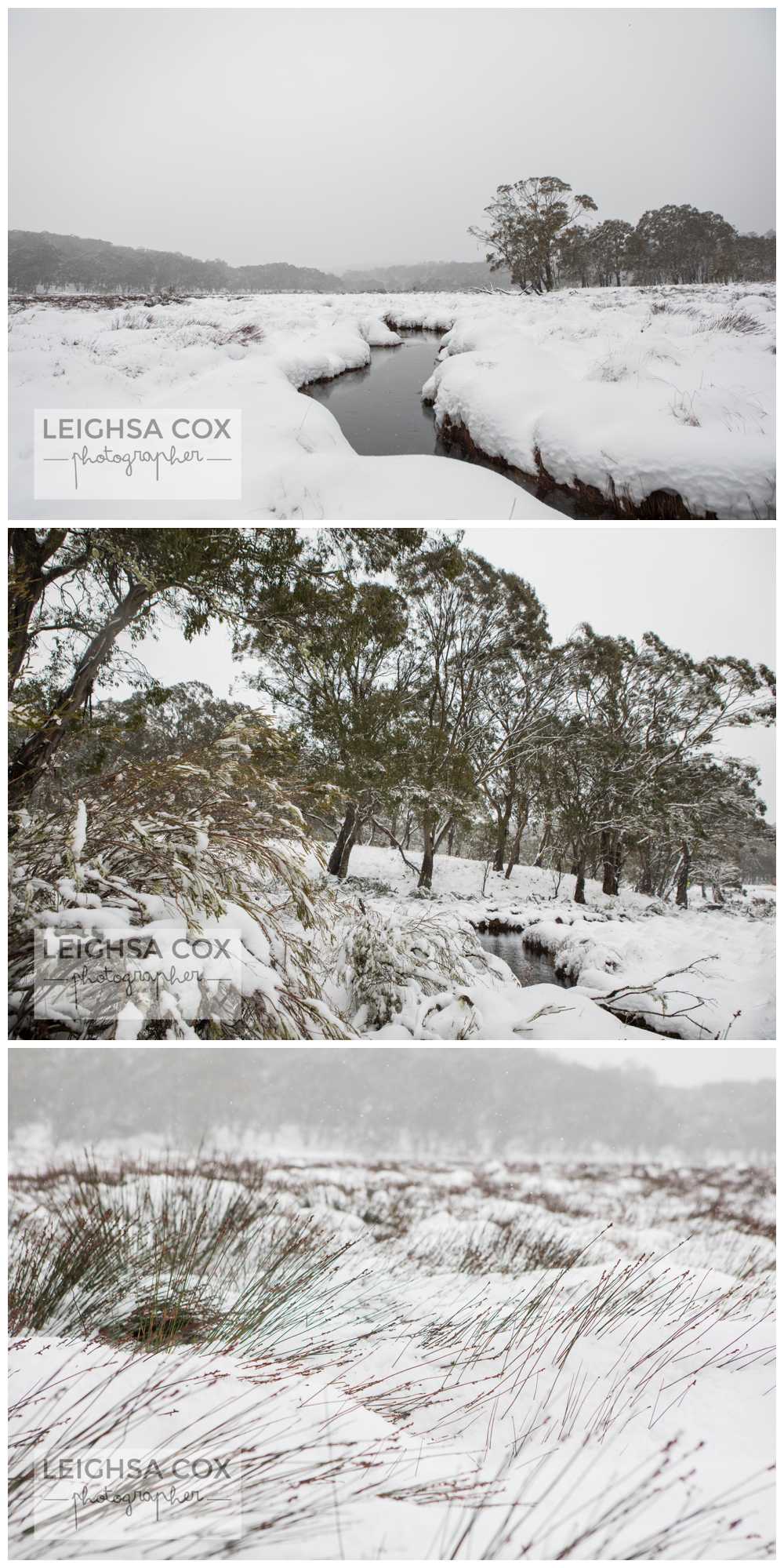 Snow Day Barrington Tops