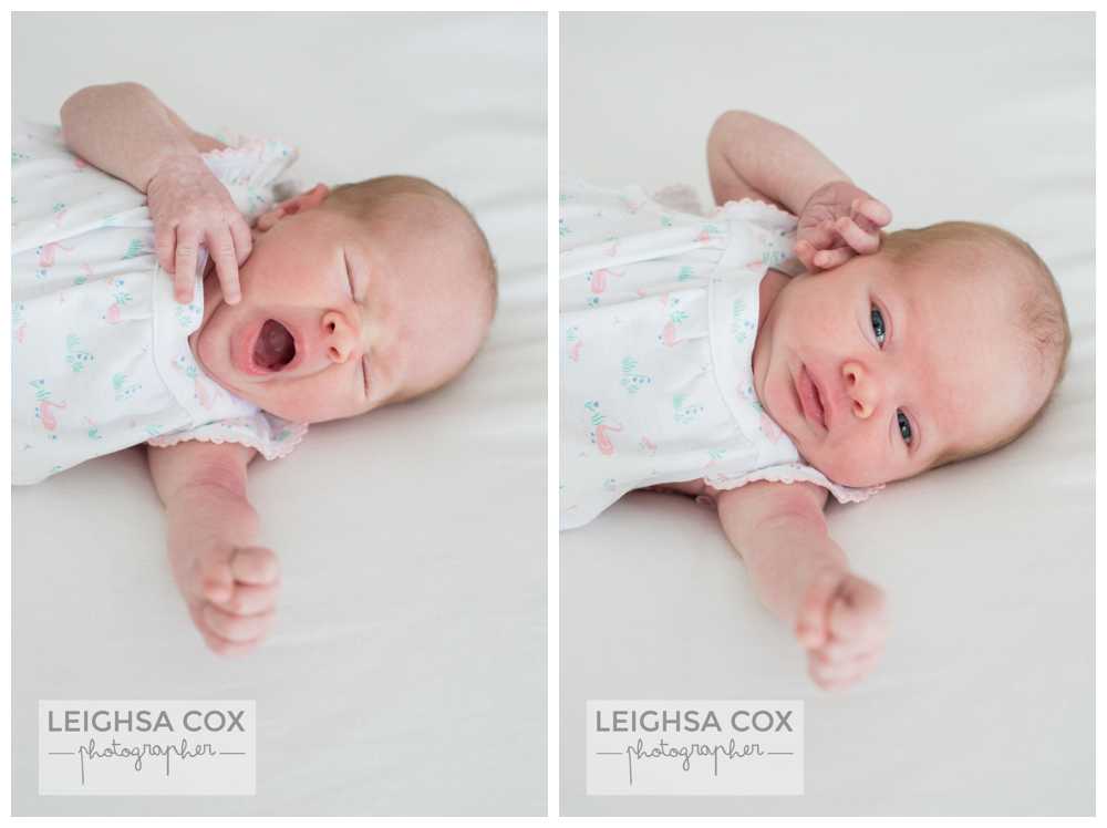 Newborn Portraits Maitland