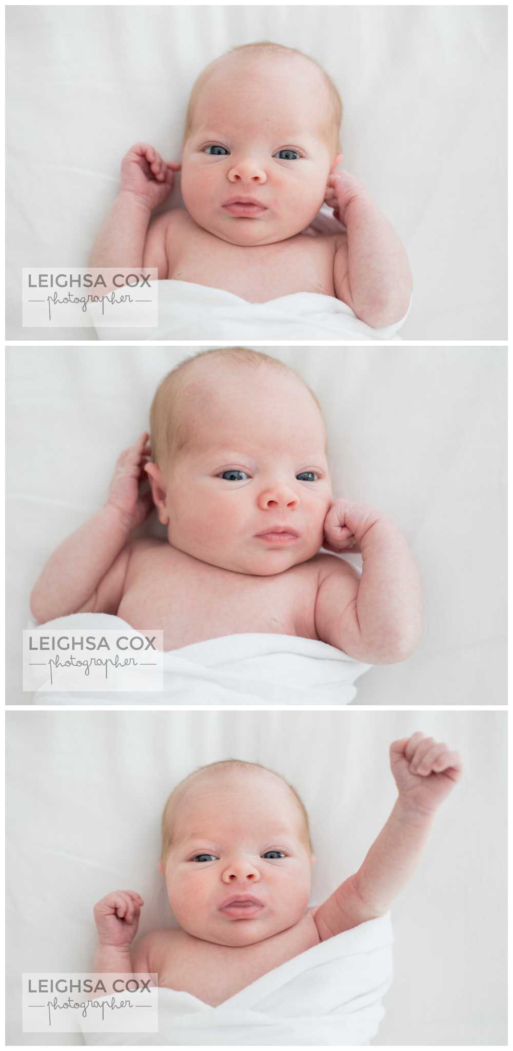 Newborn Portraits Maitland