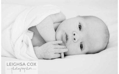 Newborn Portraits Maitland