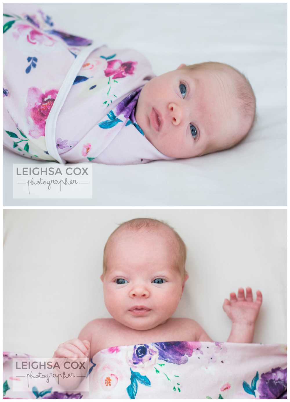 Newborn Portraits Maitland