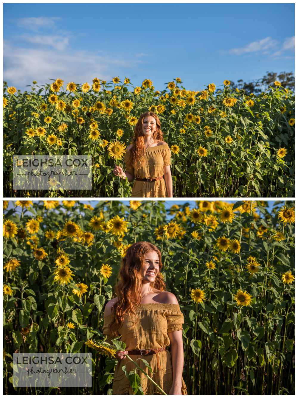 sunshine and sunflowers