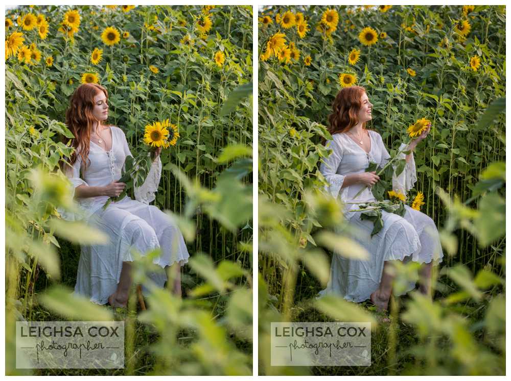 boho sunflower shoot