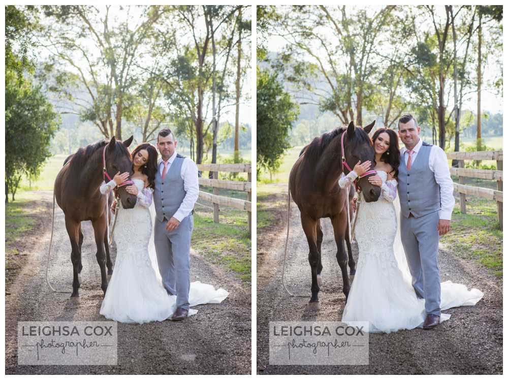 horse and bride