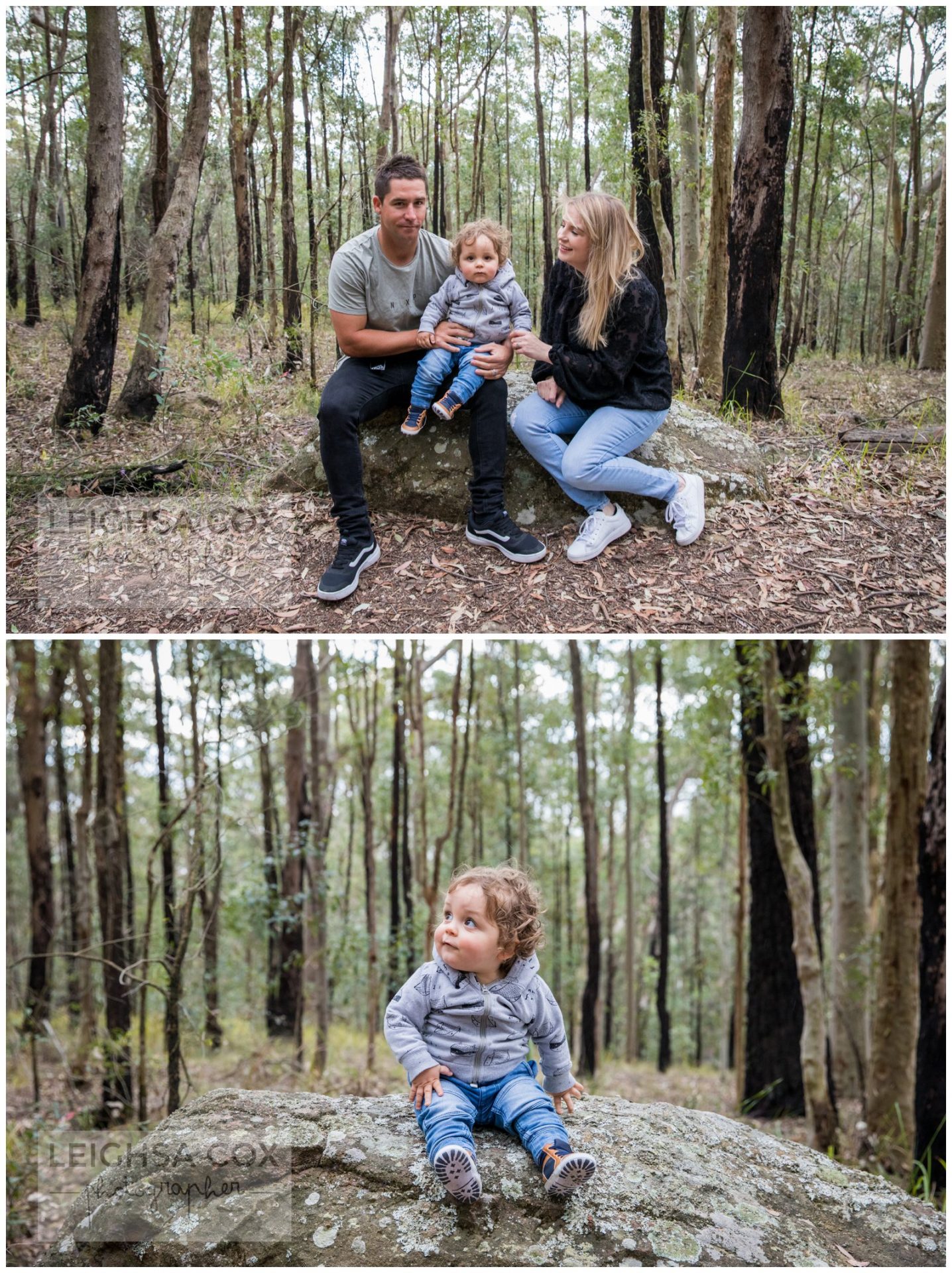 Mt sugarloaf portraits