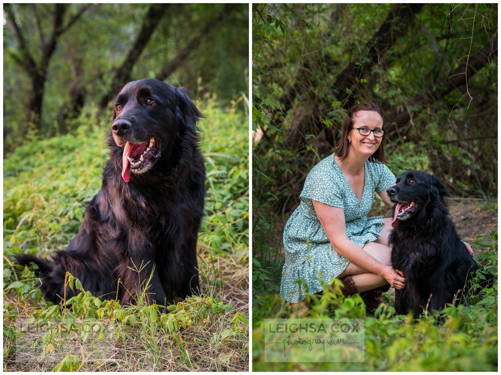 Puppy Portraits Singleton