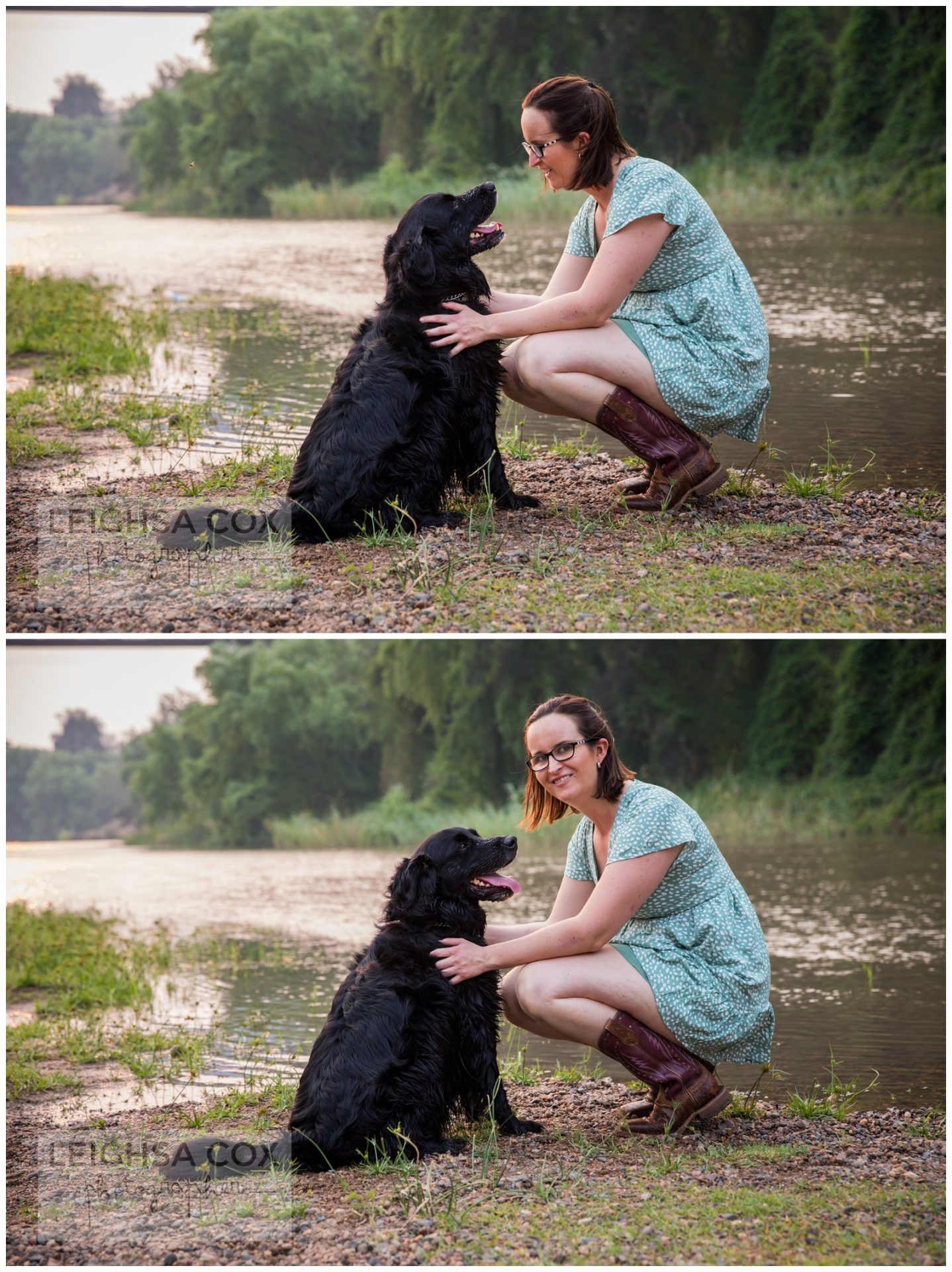 beautiful dog portraits