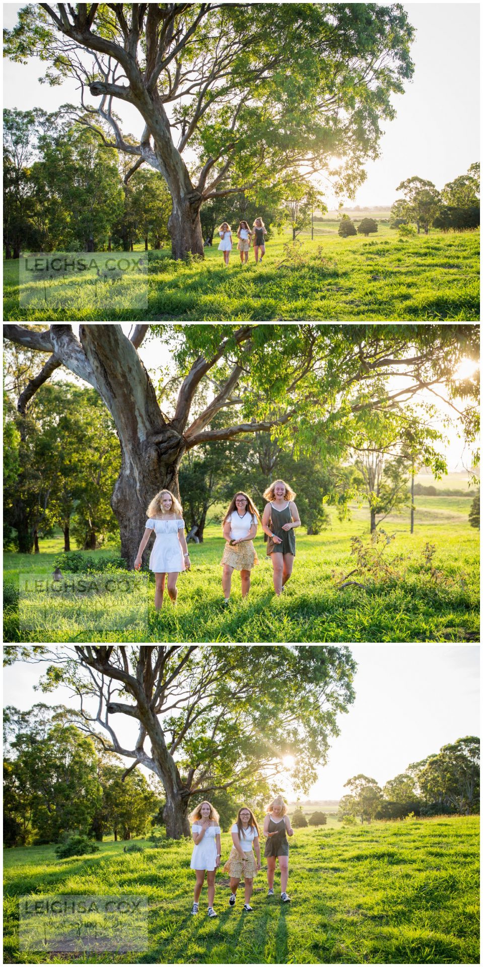 giggling through the paddock maitland