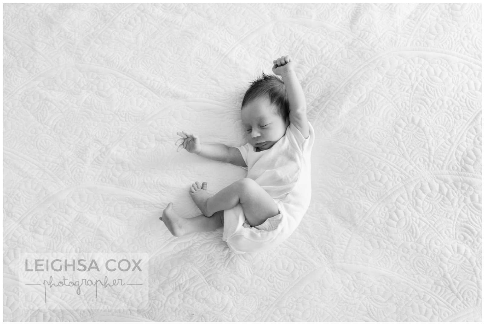 Newborn Photography Portraits