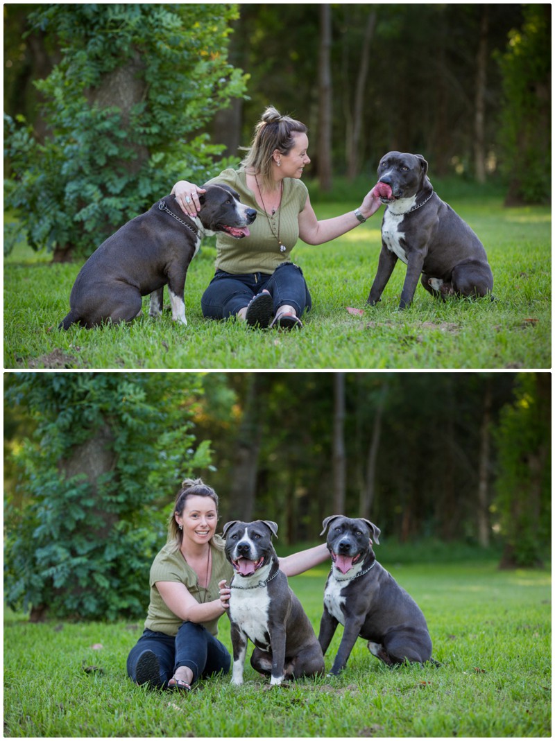 doggo portraits maitland