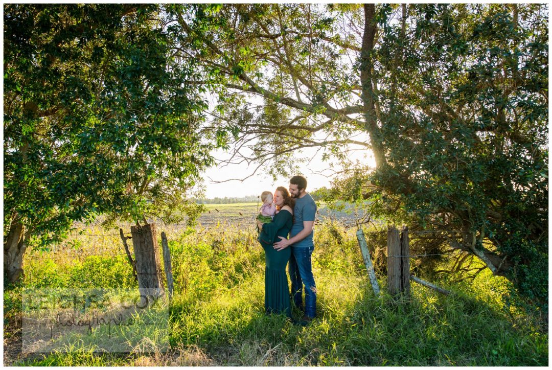 family maternity portraits in a field