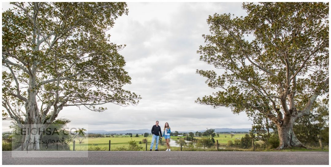 fig trees morpeth