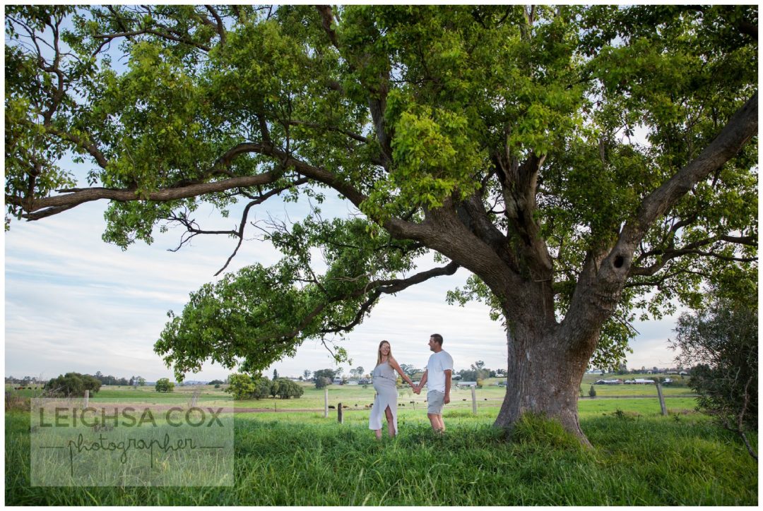 couple under big beautiful tree