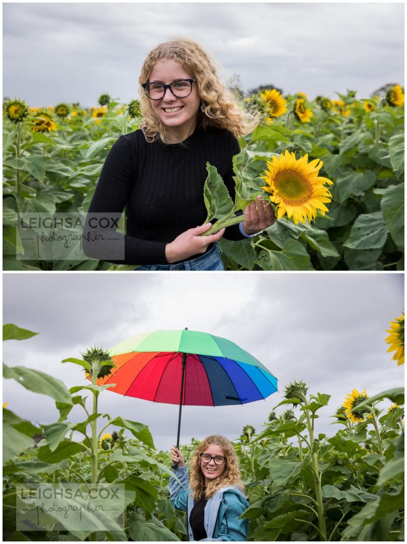 sunflowers and umbrellas