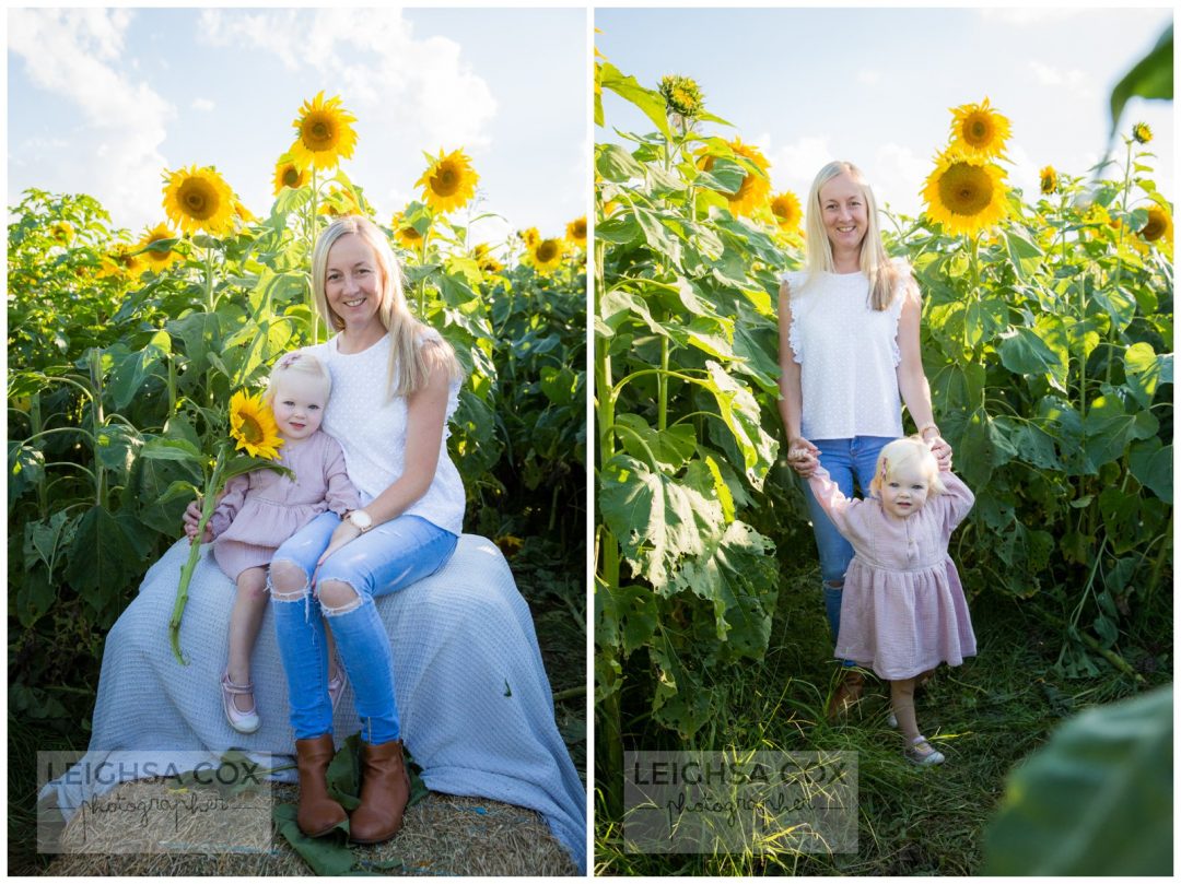 mother daughter sunflowers