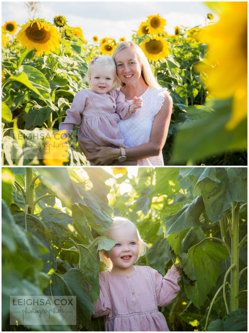 Sunflower fun