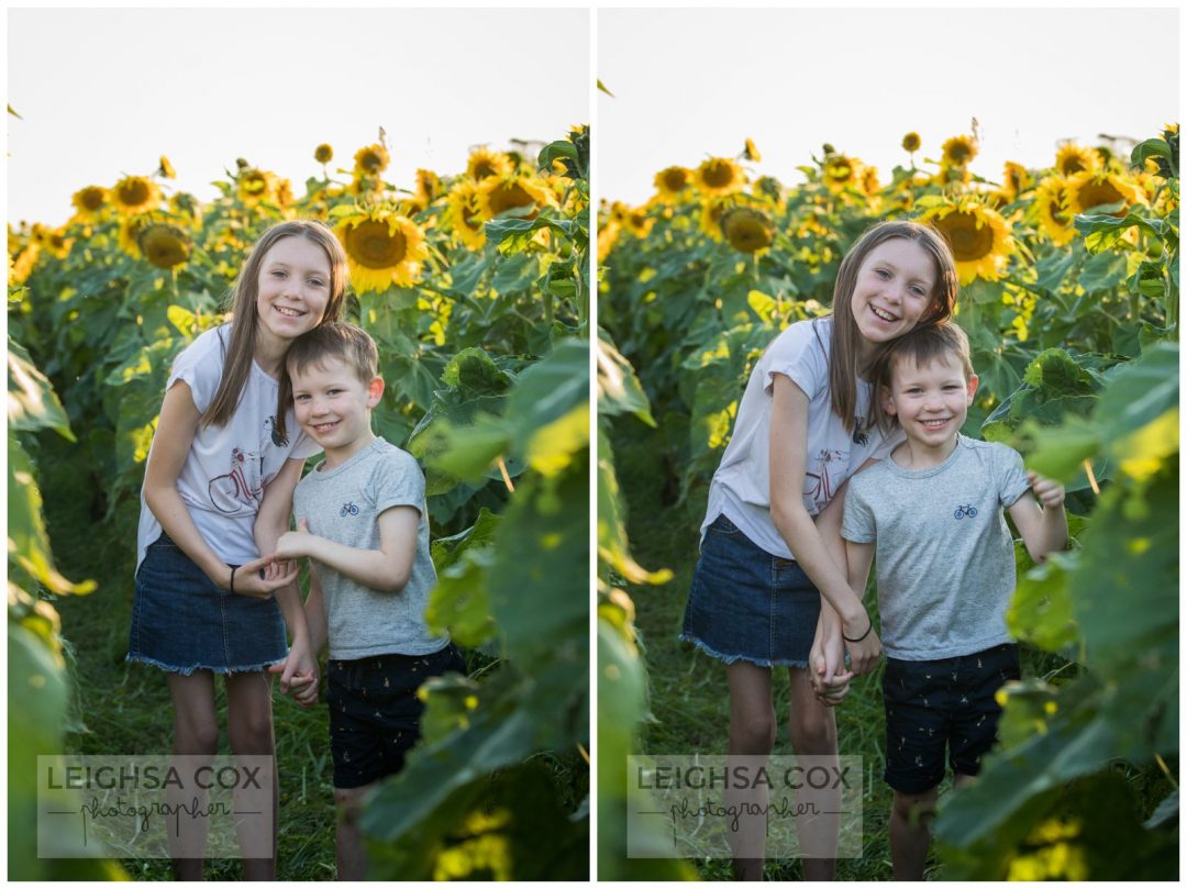 Sunflower fun