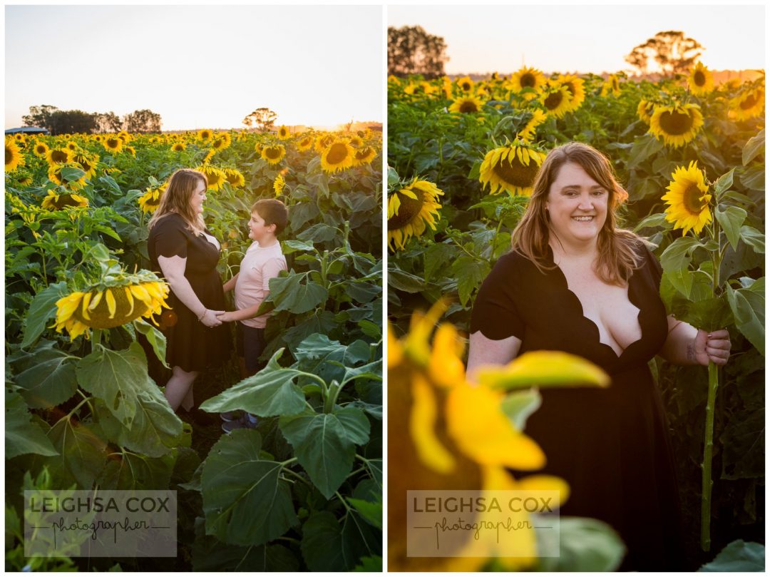 Sunflower fun