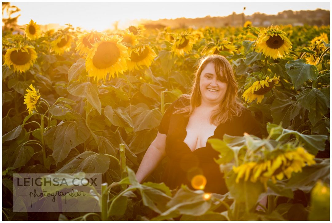 Amusement de tournesol