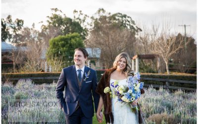 Elope at the Bath House Gardens