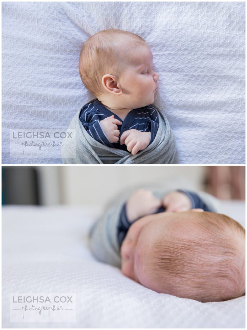 Maitland Baby Portraits