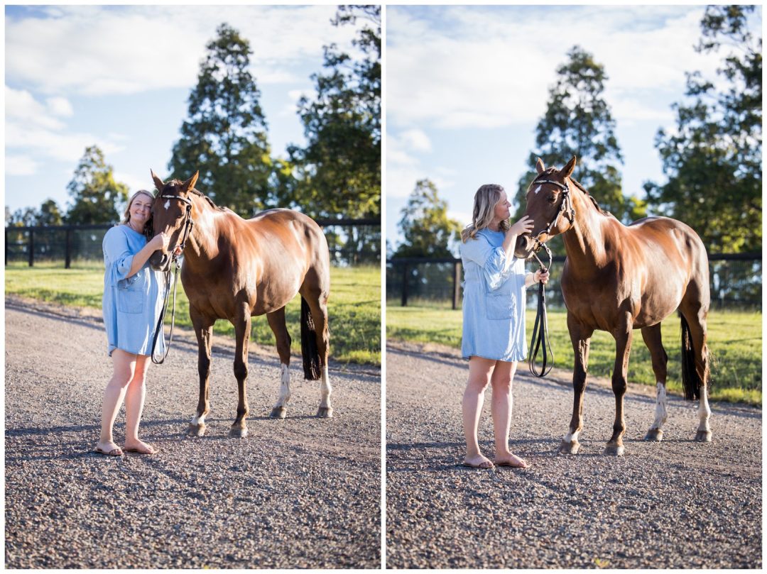 horse portraits