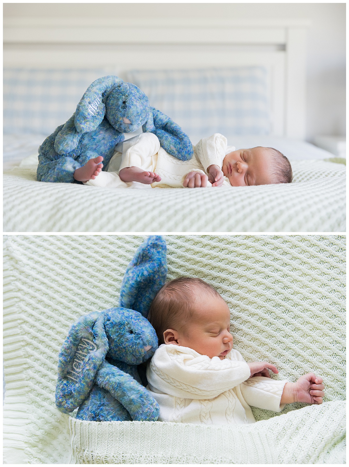 newborn maitland