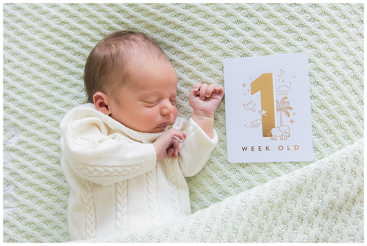 one week old