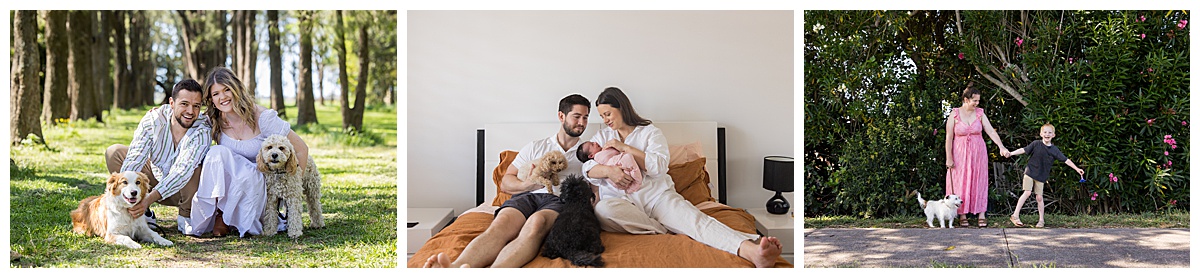 pets_0543