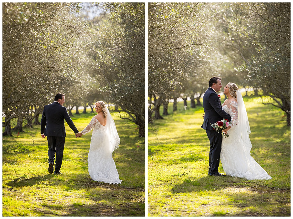 olive grove wedding