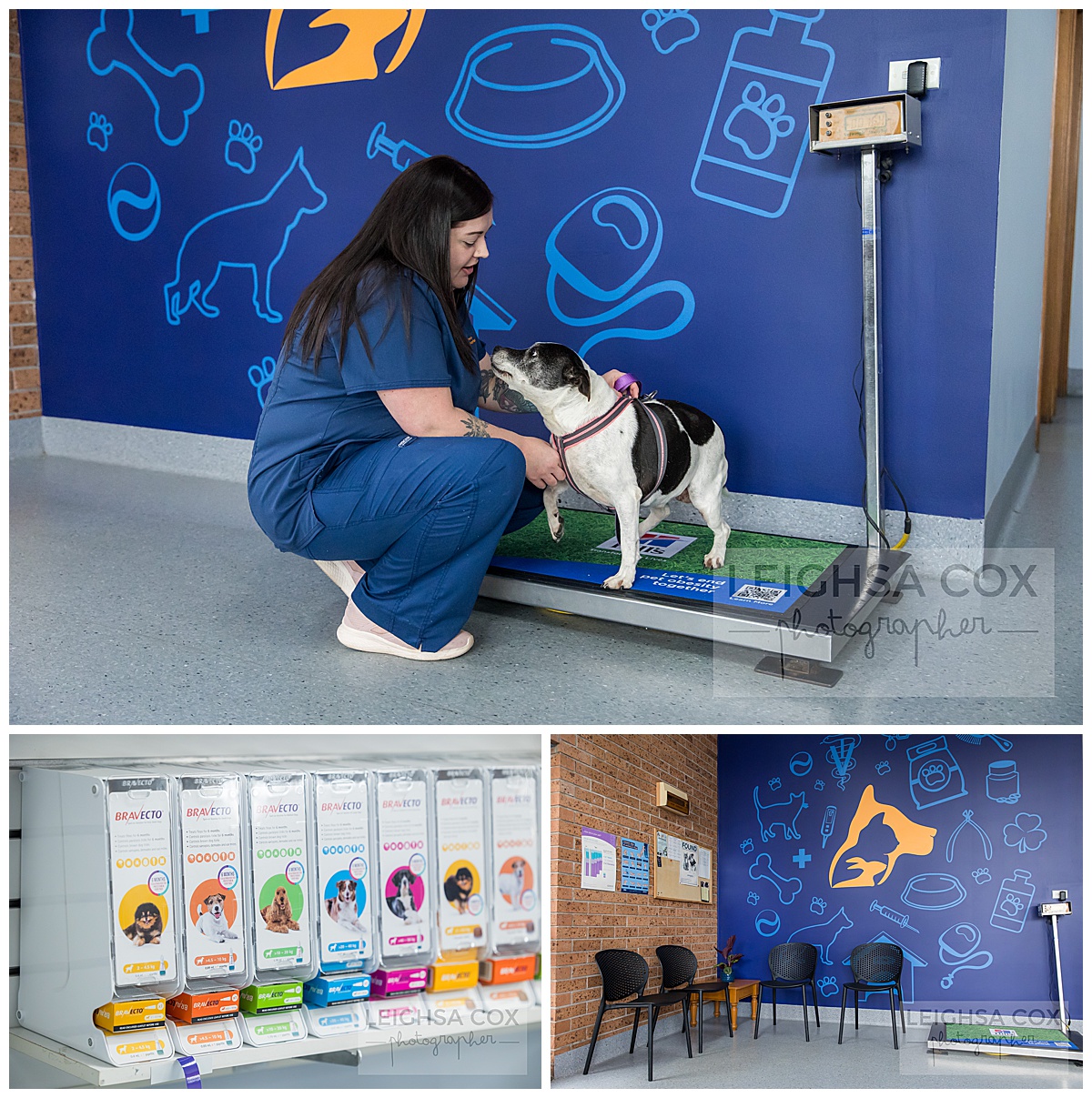 Vet Clinic Branding