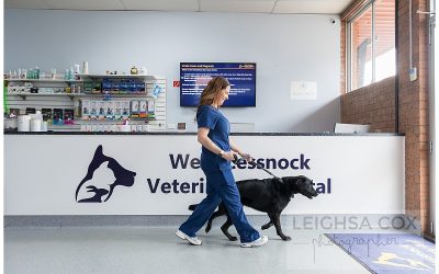 Vet Clinic Branding